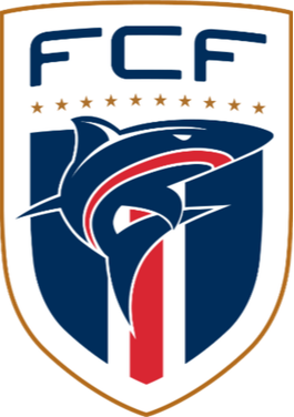 https://img.faget-benard.com/img/football/team/b78fbb9123ed9633ac77215960a8a7b3.png